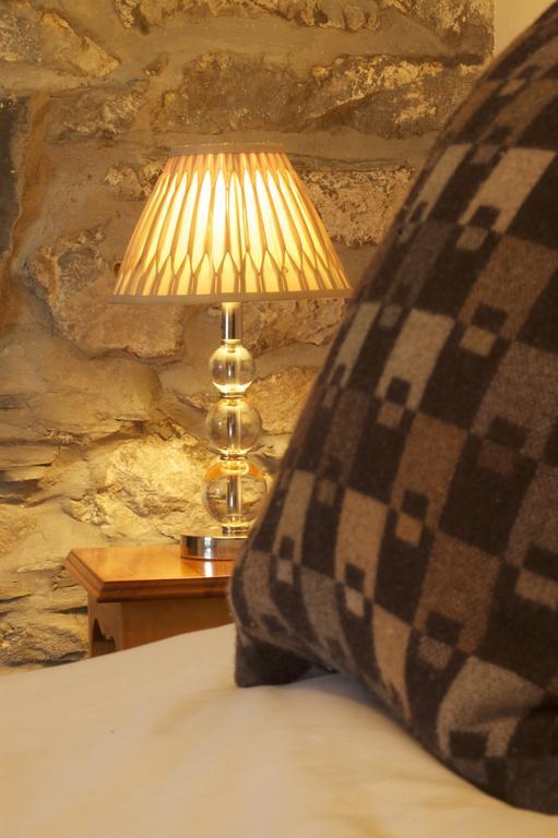 Guest house Dolffanog Fawr