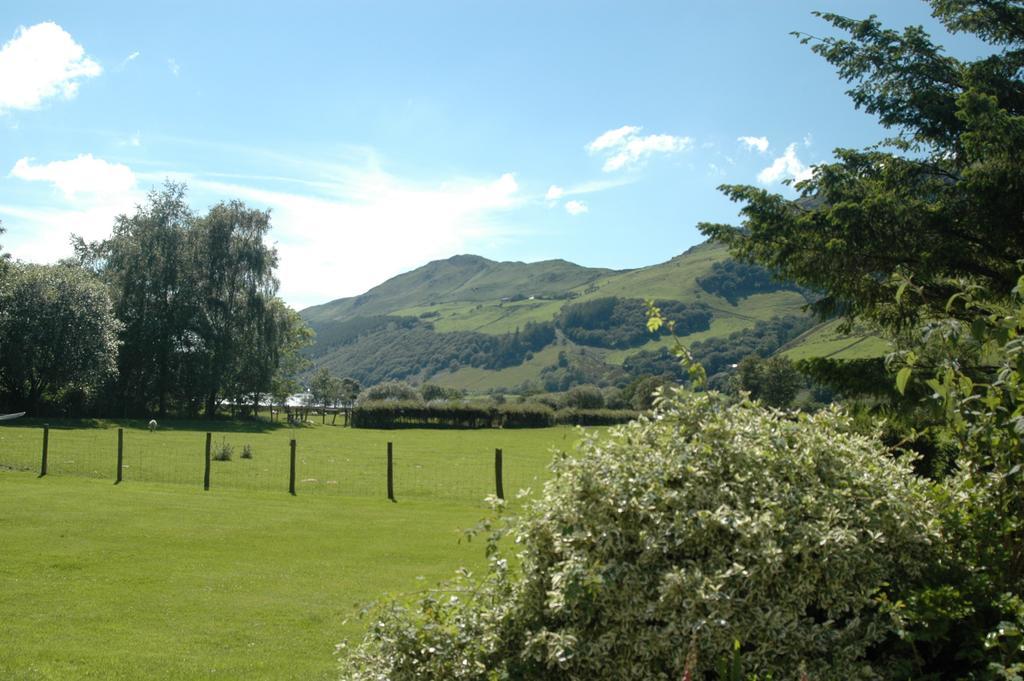 Dolffanog Fawr