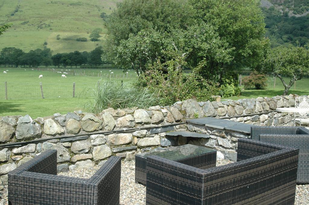 Dolffanog Fawr